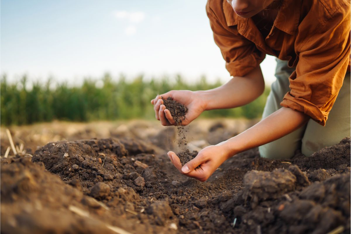 The Future of Soil Remediation: Innovations in Land Restoration